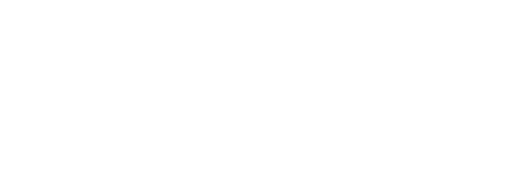 Trailblazer Predictive